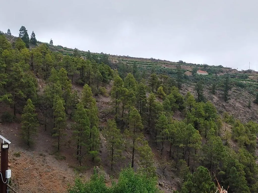 Arico Cave Experience Anaterve Spain